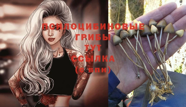 Альфа ПВП Краснотурьинск