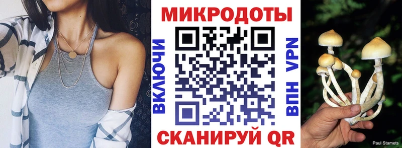 продажа наркотиков площадка какой сайт Псилоцибиновые грибы GOLDEN TEACHER Медвежьегорск